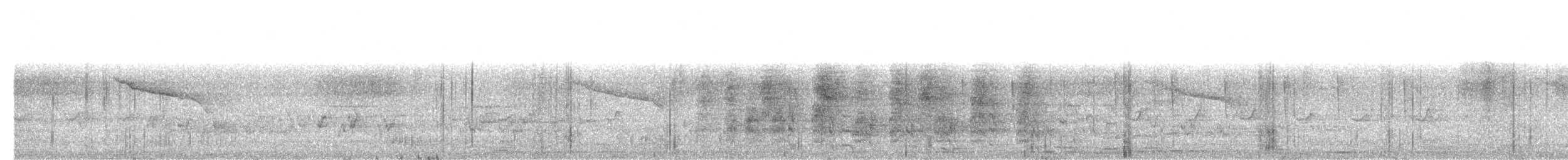 Spotted Owlet - ML79134941