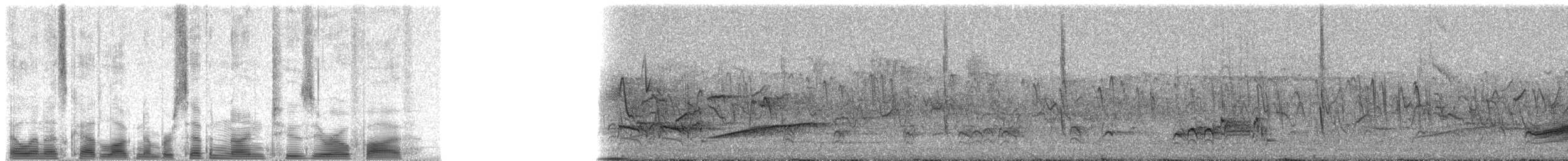 Reunion Bulbul - ML79205