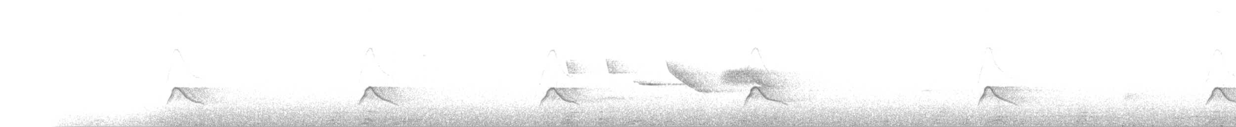 Weißkronen-Olivtyrann (Weißbauch-Olivtyrann) - ML79212591