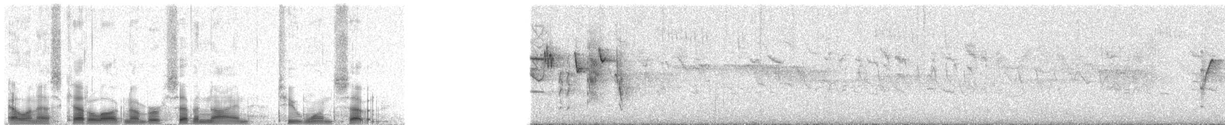 Réunionschmätzer - ML79217