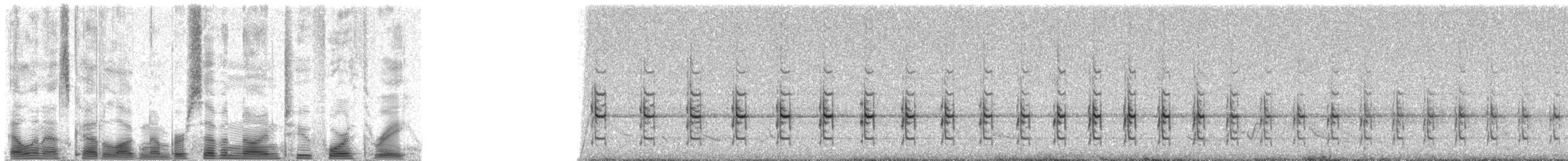 Nubierspecht - ML79243