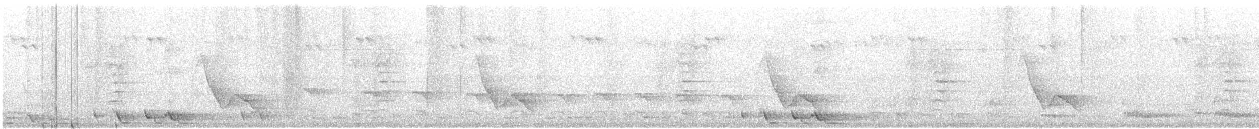 Black-winged Monarch - ML79287811