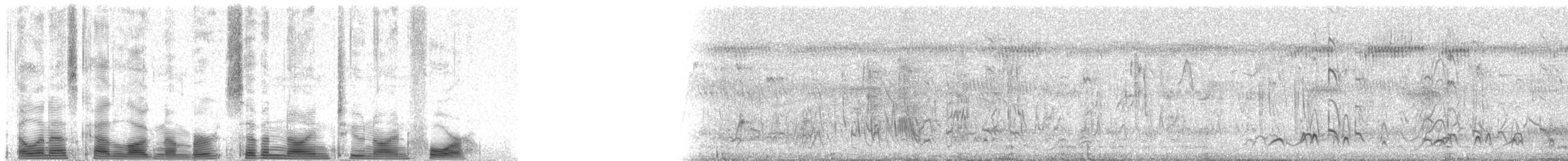Пестроголовая чубатка (darnaudii/boehmi) - ML79294