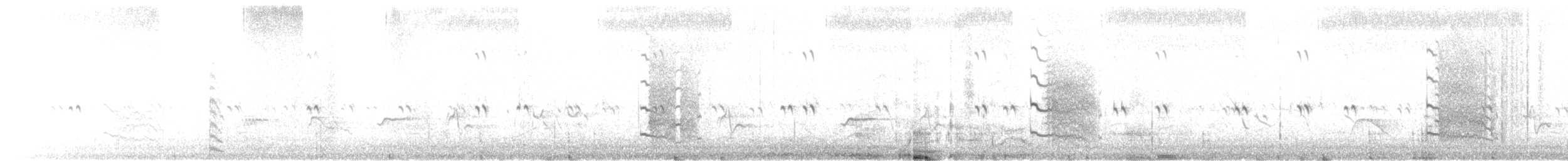 Белокрылая лысуха - ML79298451