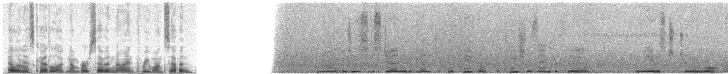 Ohrfleck-Bartvogel (usambiro) - ML79317