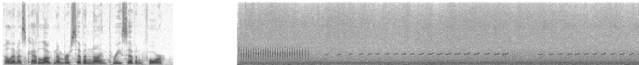 Néocossyphe à queue rousse - ML79374