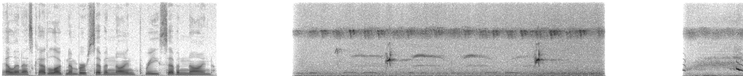 Mombasa Woodpecker - ML79379