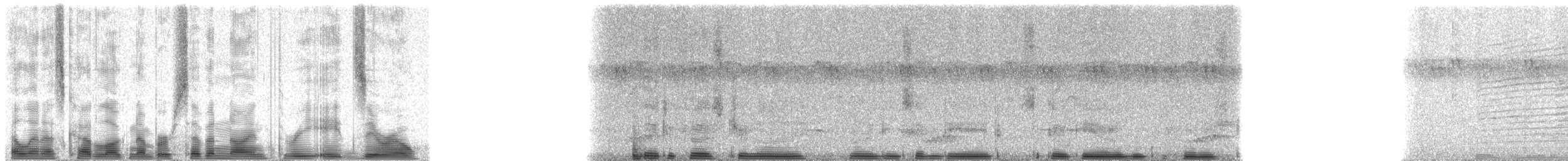 Dark-backed Weaver - ML79380