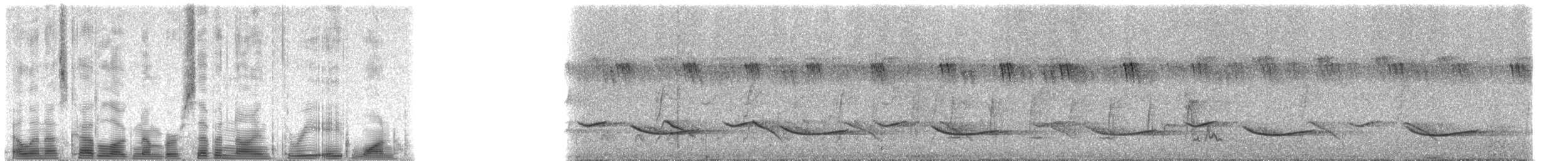 Black-crowned Tchagra - ML79381