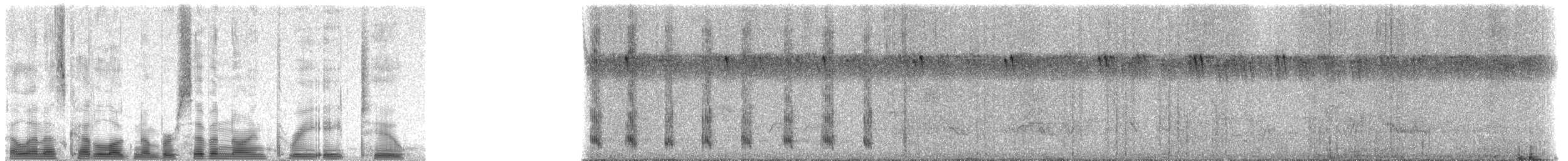 Mombasa Woodpecker - ML79382