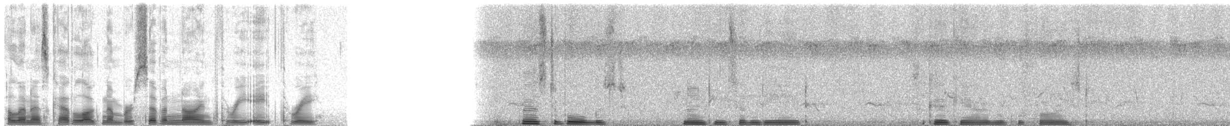 Mombasa Woodpecker - ML79383