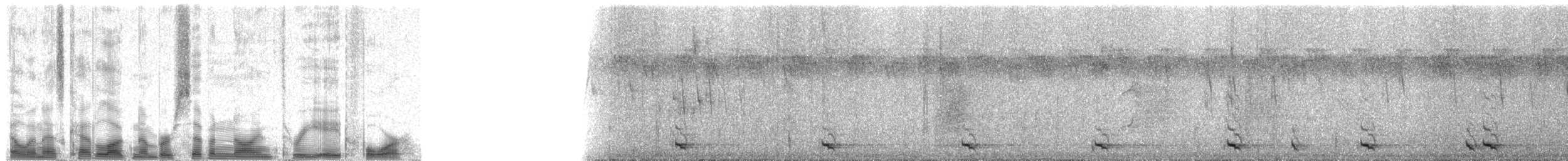 Green Barbet - ML79384