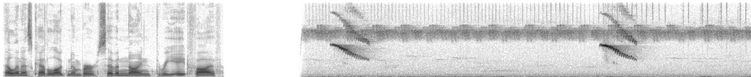 チャイロヤブチメドリ - ML79385