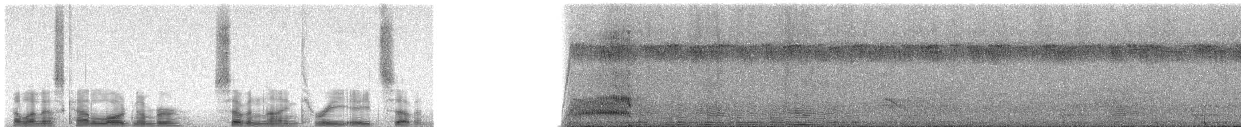 Mombasa Woodpecker - ML79387