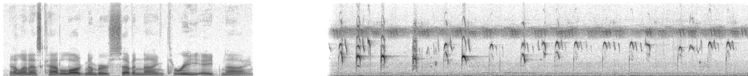 Greater Honeyguide - ML79389