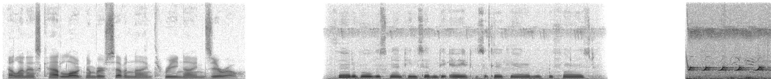 Lizard Buzzard - ML79390