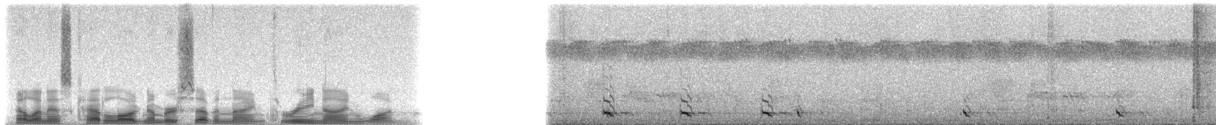 Green Barbet - ML79391