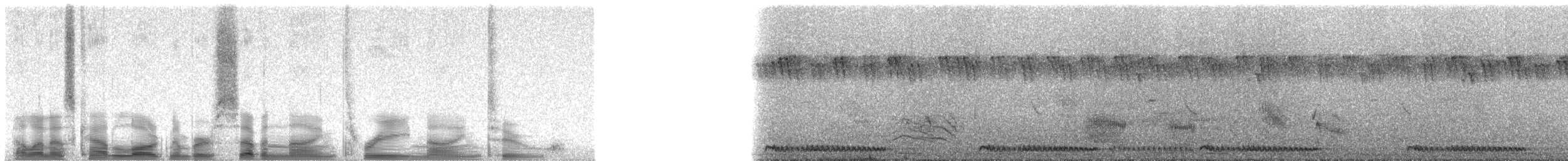 Mombasa Woodpecker - ML79392