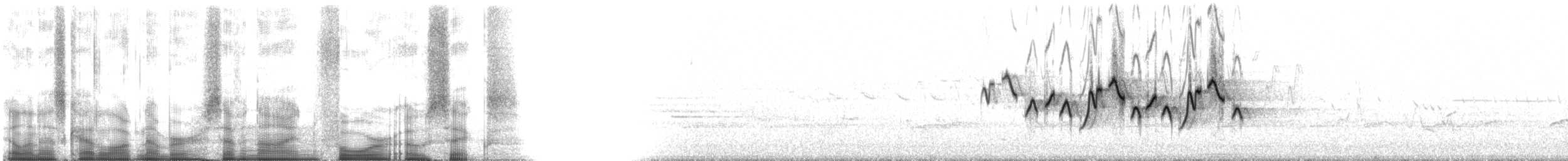 Common Yellowthroat - ML79406