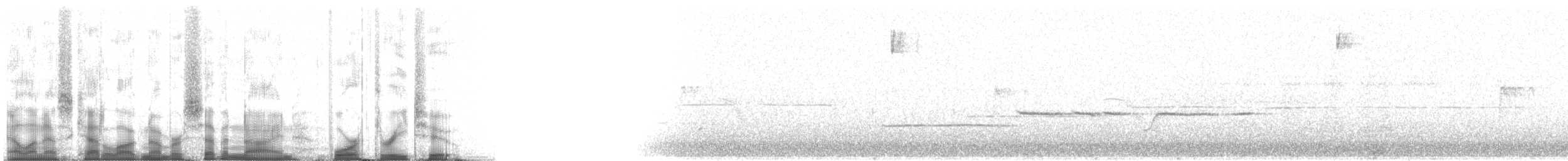 Bicknell's Thrush - ML79432