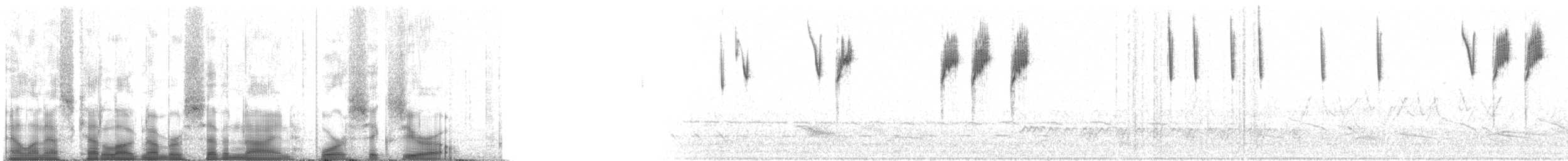 Field Sparrow - ML79460