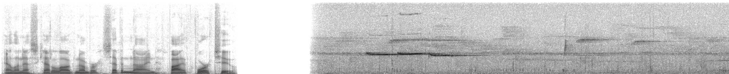 Spot-necked Babbler - ML79542