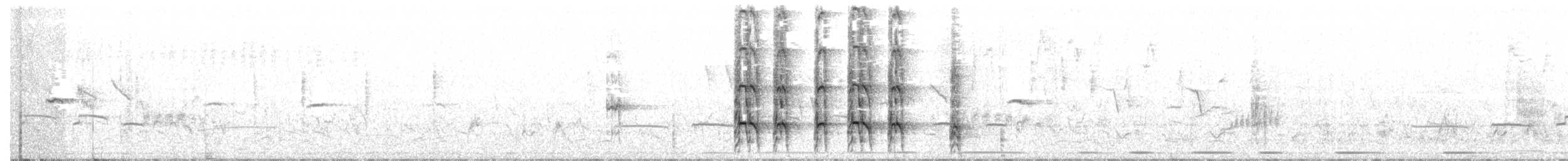 Crested Francolin - ML79544201