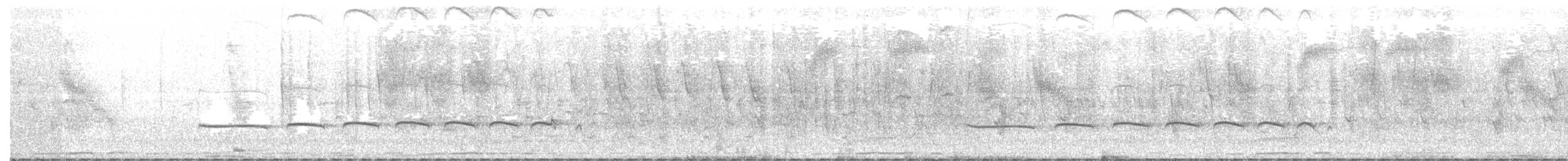 Dideric Cuckoo - ML79544281