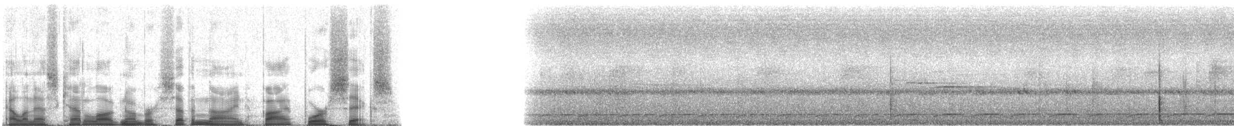 Батакская лесная куропатка - ML79546