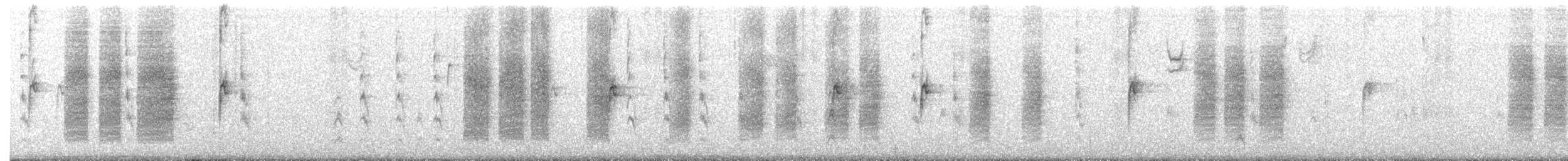 Winter Wren - ML79549181