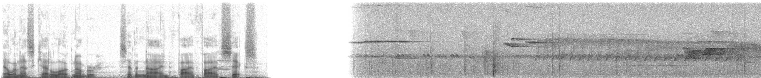 Карликовая вилохвостка - ML79556