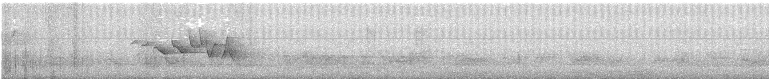 Swainson's Warbler - ML79559431