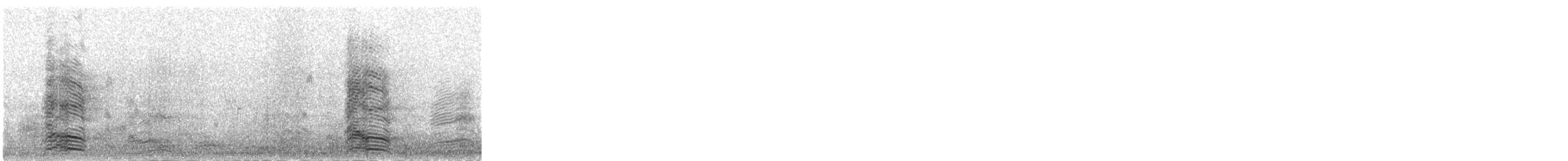 Audouin's Gull - ML79636631