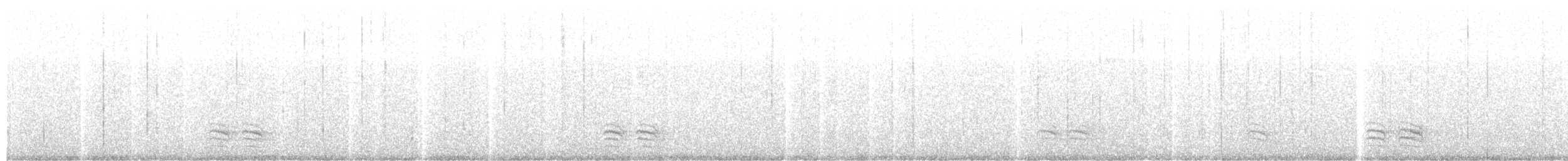 Weißbrustkleiber - ML79786171