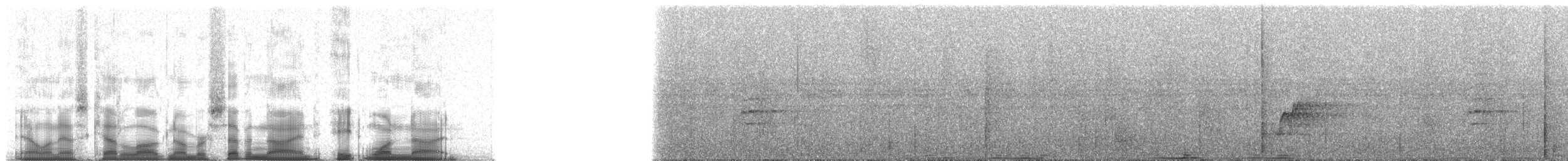 Dumanlı Megapod [freycinet grubu] - ML79819