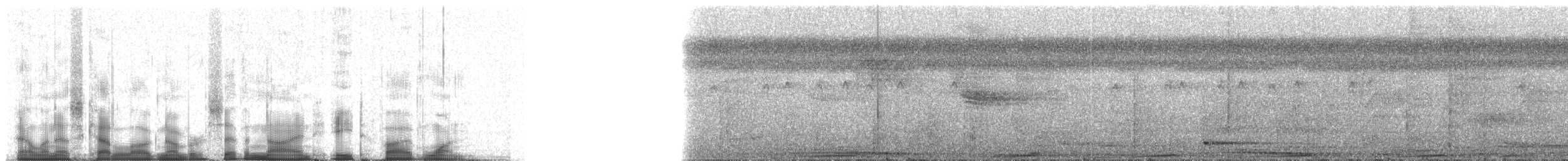 Crinkle-collared Manucode - ML79851