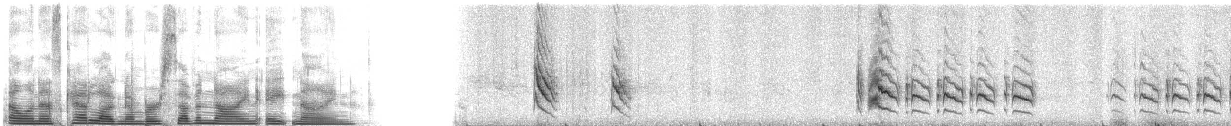 Серогрудый тиранн - ML7989