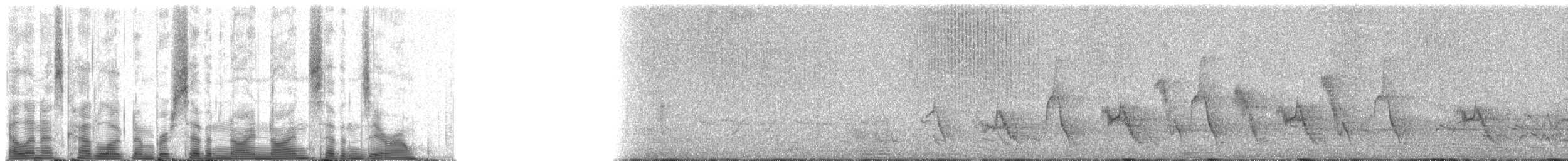 Белоплечая термитница (arnotti) - ML79970