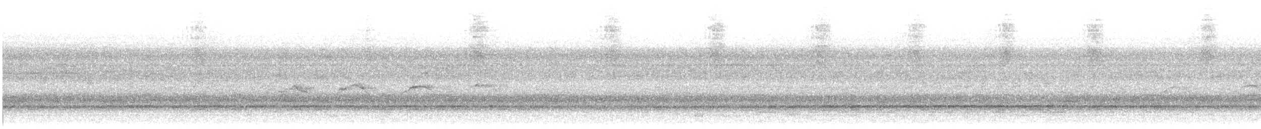Ошейниковый перепелятник - ML80028471