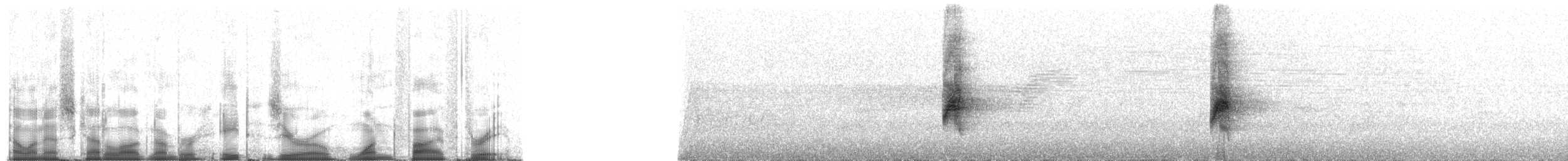 Zimtschwanz-Blattspäher - ML80153