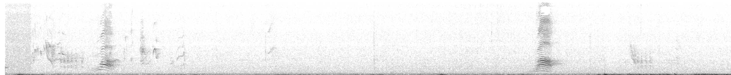 White-bellied Go-away-bird - ML80241541