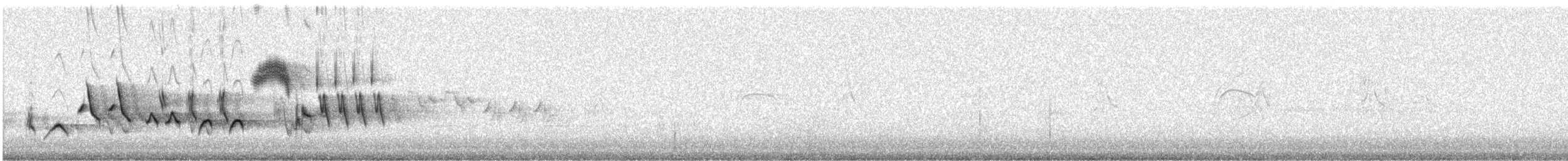 Bruant fauve (groupe megarhyncha) - ML80261891