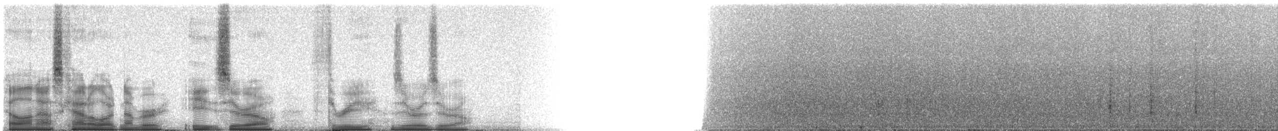 Barred Owl - ML80300