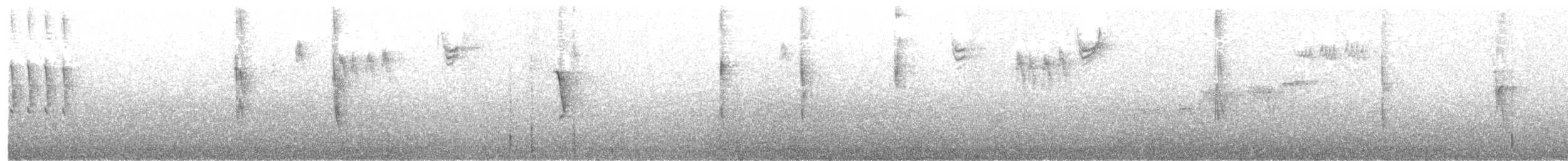 Chingolo Zorruno (grupo unalaschcensis) - ML80321121