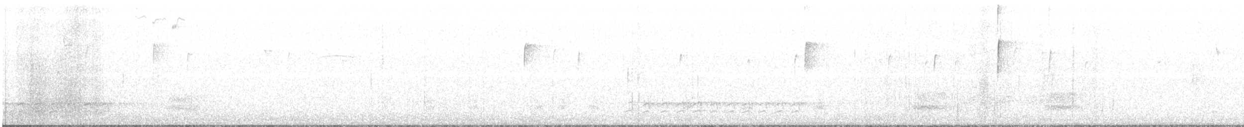 Weißbrustkleiber - ML80351451