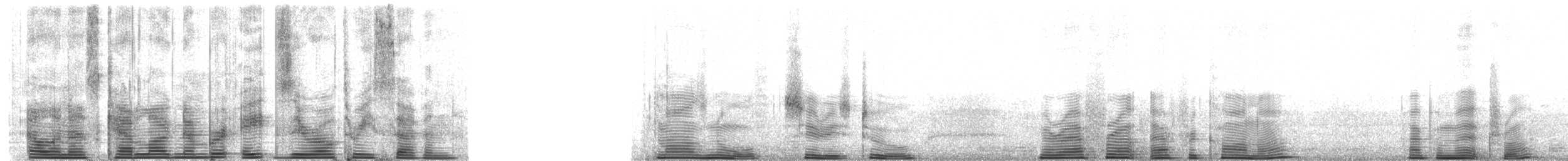 Riesenlerche - ML8037