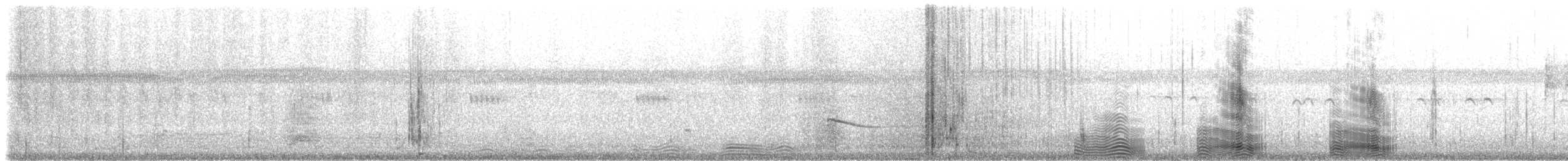 Reddish Egret - ML80463261