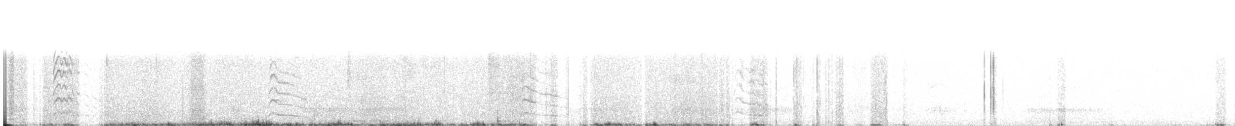 Дятел-смоктун білочеревий - ML80482191