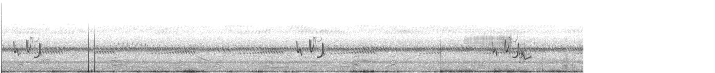 Stubble Quail - ML80496531