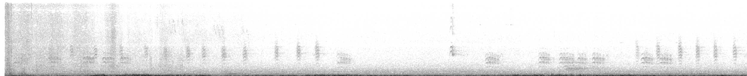 Sittelle à poitrine blanche (groupe lagunae) - ML80507231